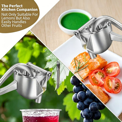 Juicer | Stainless steel or PP material 🍋